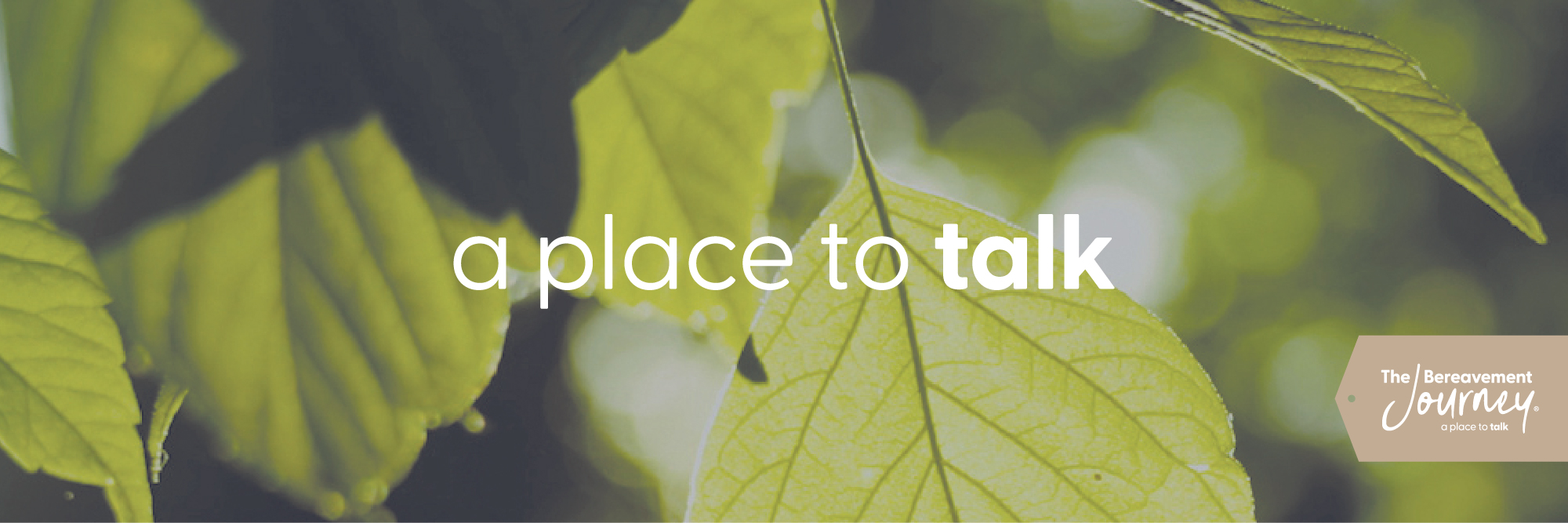 tbj-social-twitter-cover-01
