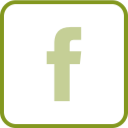Facebook Icon - Green