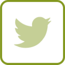 Twitter Icon - Green